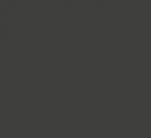 Цвят Антрацит за входна врата